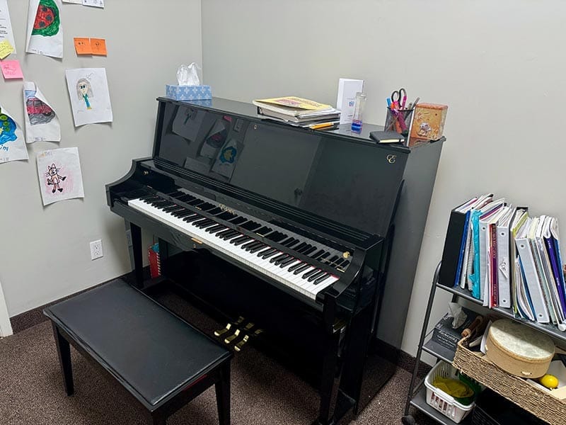 Professional RCM examination preparation at Muzart Music and Art Music School's Etobicoke studio with Essex pianos